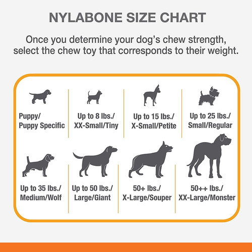 Imagen 4 de 8 de Nylabone Chill & Chew Freezer - Juguete Para Masticar Huesos