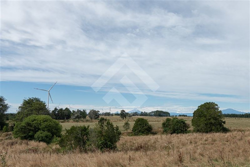 Imagen 4 de 19 de Sitio En Venta En Brisas De Loncotoro
