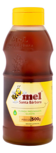 Mel Florada Silvestre Mel Santa Bárbara Squeeze 500g