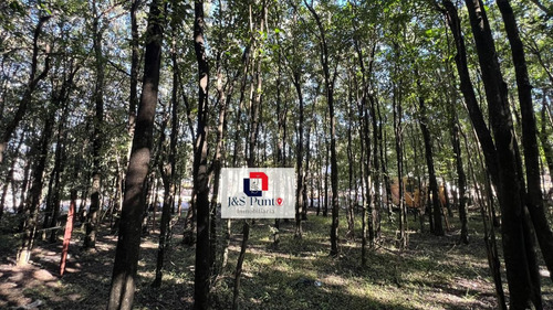 Lote En Villa Catalina