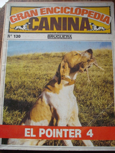 Gran Enciclopedia Canina N° 130 El Pointer 4 Bruguera