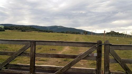 Chacra De 8 Hectáreas En Las Flores Con Hermosas Vistas