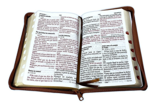 Biblia Reina Valera 1960 Letra Grande Pjr Indice Bordo