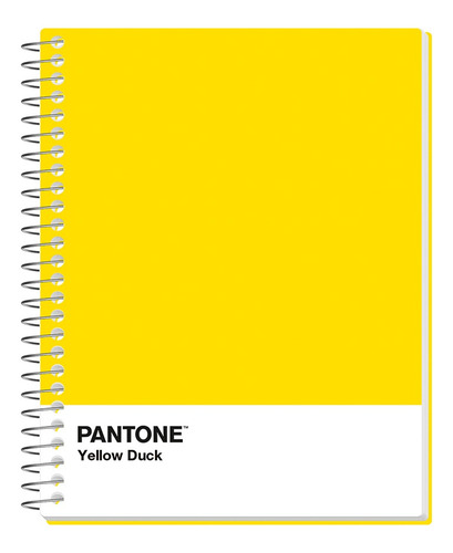 Pack 5 Cuadernos Premium Rhein Pantone
