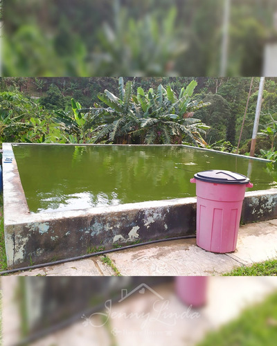Imagen 11 de 14 de Se Vende Finca De 6,6 Has En Bejuma Carabobo