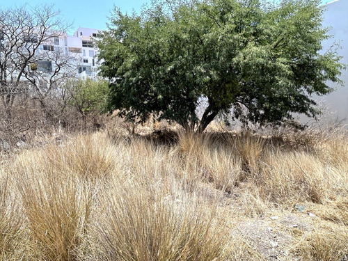 Zibata Queretaro, Precioso Lote En Venta De 309.25 M2. Condominio Cardon