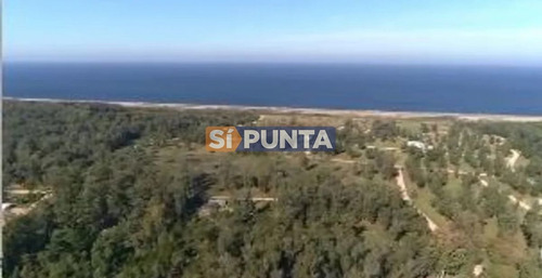 Imagen 2 de 5 de Chacra En Venta - Club De Polo