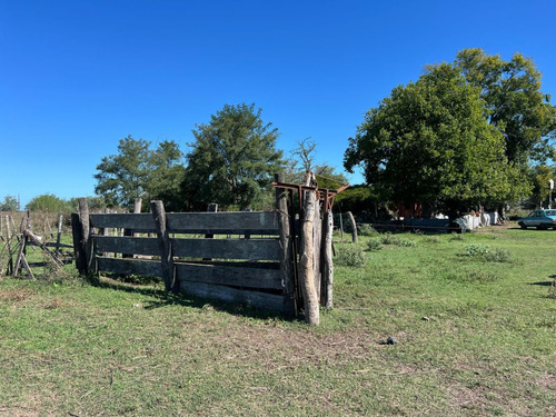 Campo En Venta De 36, 7 Hectáreas Con Manga, Potrero, Molino, Corrales