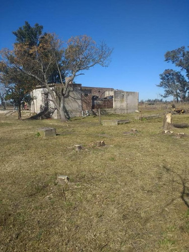Imagen 3 de 9 de Campo - Los Muchachos