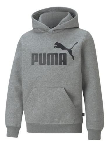 Moletom Com Capuz Essentials Big Logo Fleece Juvenil Puma Mo