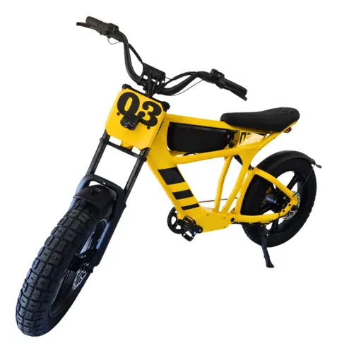 Bicicleta Elétrica Ft03 E-mountain Bike 1000w Potente