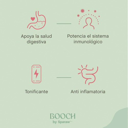 Kombucha Botánica Suico Booch 354 Cc