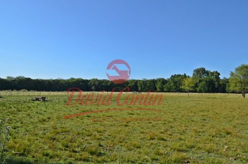 Imagen 11 de 30 de Hermoso E Ideal Campo En Venta