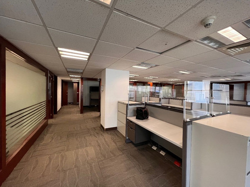 Renta Oficina 150 M2 - Amueblada- Lomas De Chapultepec, Miguel Hidalgo