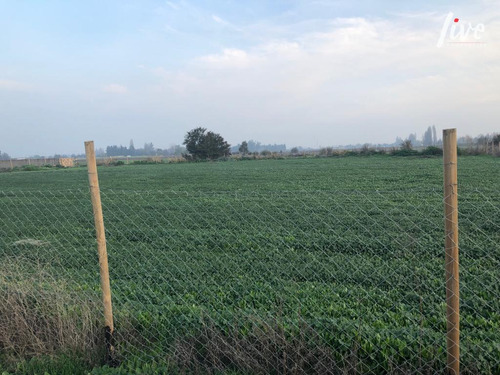 Vendo Sitio En Santa Eliana Chicureo