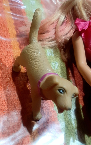 Barbie Mattel Con Perro Muñeca + Juego Te Porcelana + Auto (Usado)