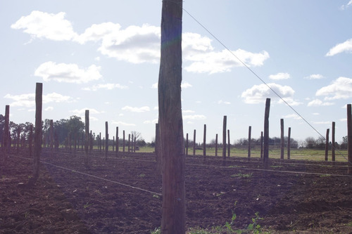 Imagen 6 de 15 de Lotes En Barrio Cerrado Zona Oeste Nueva Autopista