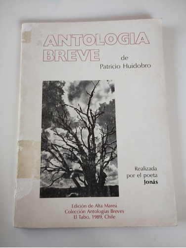 Antología Breve Patricio Huidobro. Por Poeta Jonás 