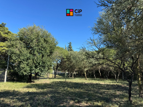 Venta De Lotes Sobre Ruta 1, Los Molles
