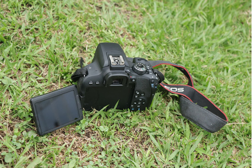  Canon Eos Rebel T7i Dslr Color  Negro