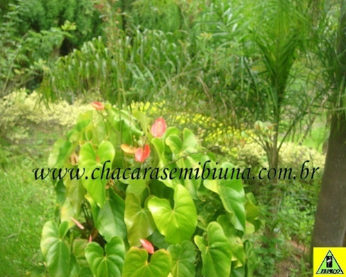 Chacara - 1507 - 33028859