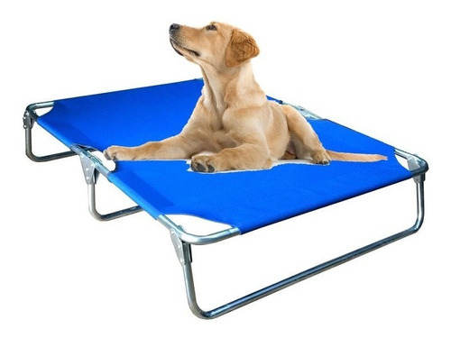 Catre Cama Perro Extra Grande Azul Plegable Mascota Pegaso