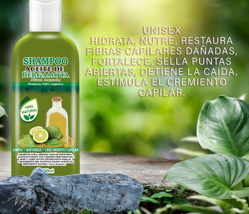 Shampoo Aceite De Bergamota 1l + Shampoo De Colágeno