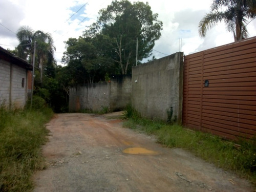 Imagem 6 de 7 de Terreno - Te00024 - 34087623