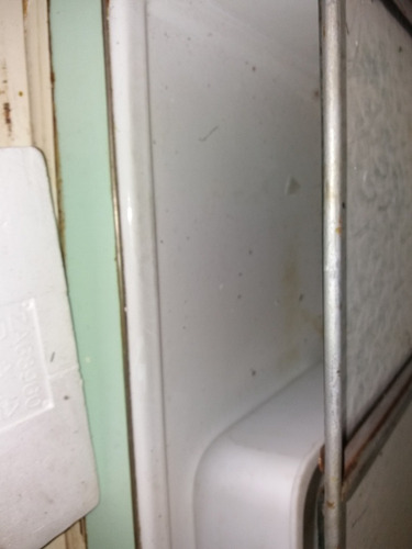 Heladera Siam Bolita (Usado)