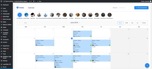Amelia - Plugin De Agendamento Wordpress Premium