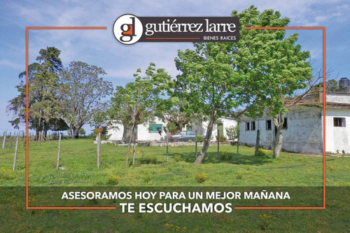 Campo 235 Ha, Rincón Del Pino, Precio Conveniente!