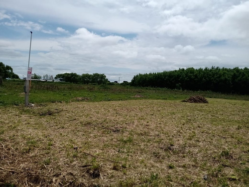 Imagen 9 de 10 de 2 Lotes Juntos O Separados En Felix U Camet