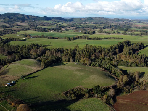 Campito La Perdiz - 6,86 Hectáreas - La Unión