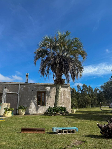 Chacra En Venta Maldonado, Gran Tapera Rec. 240m De Arroyo (ref: Bpv-10530)