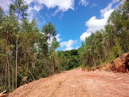 Imagem 10 de 11 de Lotes E Sítios Próximo A Represa Cd. Phg