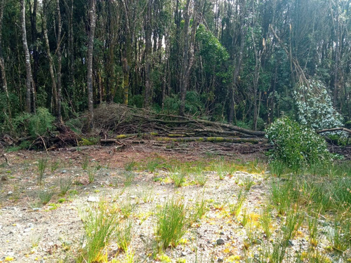 Parcela En Puerto Varas, Camino A Ensenada (97186)