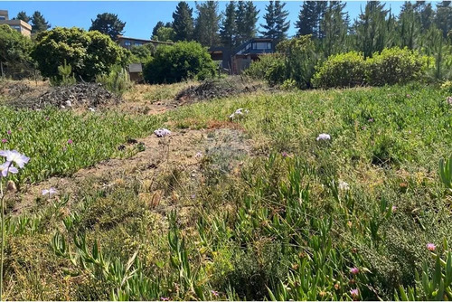Terreno 1.500m² Alta Plusvalía En Reñaca Los Pinos