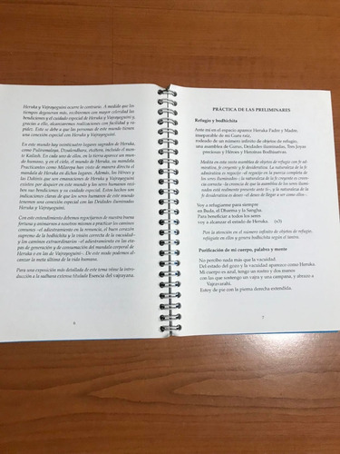 La Nueva Esencia Del Vajrayana Gueshe Kelsang G. Rimpoché (Usado)