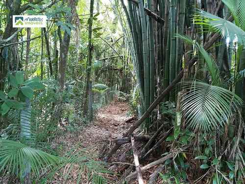 Imagem 17 de 24 de Chácara À Venda No Bairro América De Cima - Morretes/pr - 269