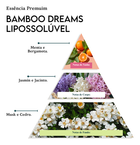 Essência Premium De Bamboo Dreams Lipossolúvel - 100 Ml