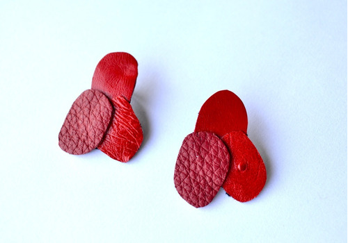 Imagen 1 de 4 de Aros Rojos, Cuero Y Pasante De Acero Quirúrgico