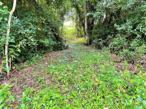Imagem 6 de 7 de Z7 - Terreno Em Ibiúna ! Mega Oportunidade!