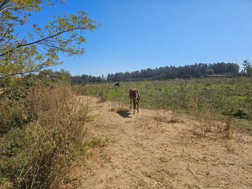 Terreno Agrícola De 12,12 Hectáreas. Posee Derechos De Agua.