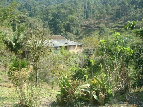 Imagem 26 de 30 de Sítio À Venda No Bairro Ourinho - Botuverá/sc - 1993