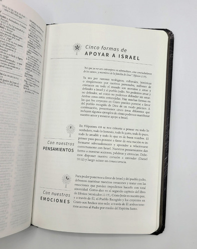 Imagen 7 de 9 de Biblia Rvr1960 Tapa Dura Letra Grande León Imagenes D Israel