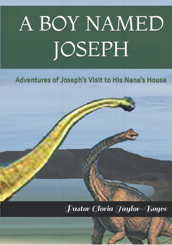 Libro: En Ingles A Boy Named Joseph Adventures Of Josephs