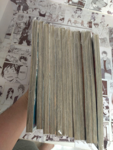 Mangá Ga - Rei 1 Ao 12 Completo Anime - One Piece - Livro