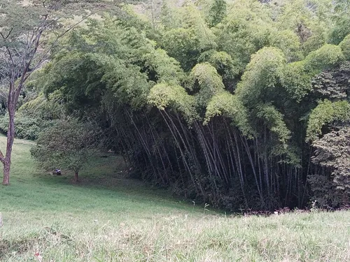 Vendo Finca Ganadera En Restrepo Valle