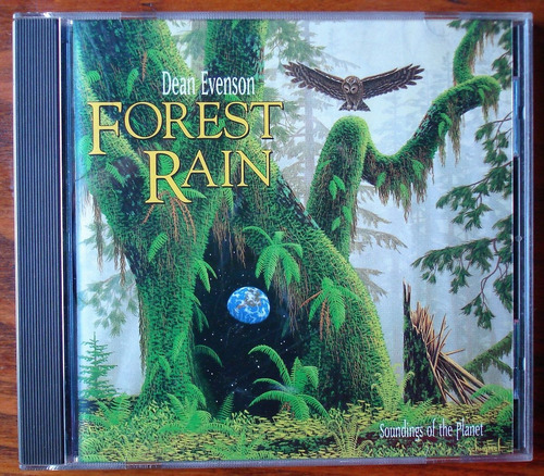 Dan Evenson - Forest Rain