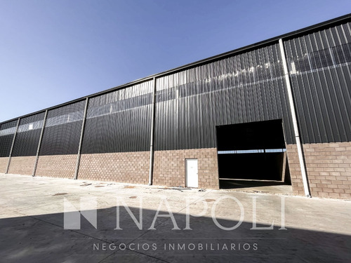 Imagen 3 de 7 de Alquiler De Nave En El Polo Industrial De Ezeiza